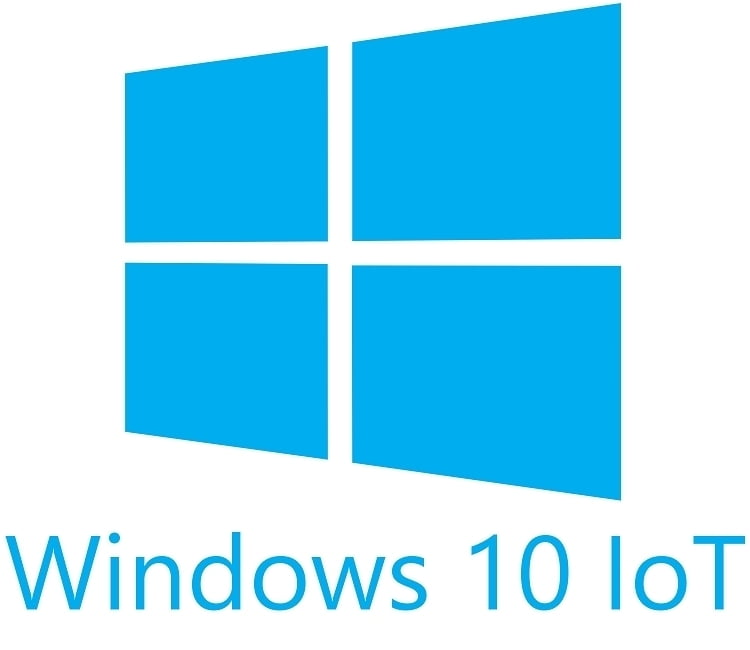 MS Windows 10 IoT Enterprise 2021 LTSC MultiLang ESD OEI Entry